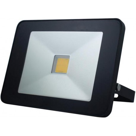 Projecteur LED 30W avec détecteur invisible