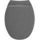 Siège WC ALLIBERT Serenity Gris