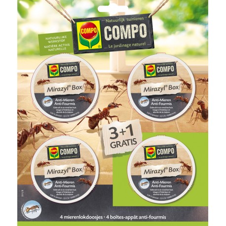 Anti-fourmis Box COMPO Mirazyl