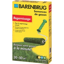 Gazon BARENBRUG regarnissage 1Kg