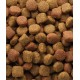 CLASSIC Duo Krok 20kg