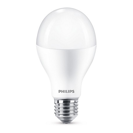 Ampoule Poire LED PHILIPS Mate ~120W CW ND