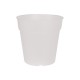 Pot orchidée MADAGASCAR 13 translucide