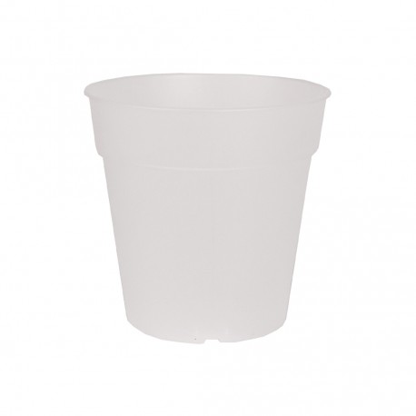 Pot orchidée MADAGASCAR 13 translucide