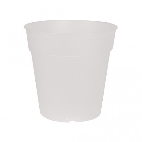 Pot orchidée MADAGASCAR 15 translucide