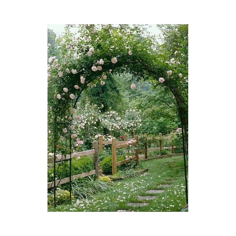 Arche de jardin arceau arcade jardin rosier pas cher 