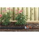 GARDENA Tuyau micro-poreux 15 m