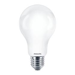 Ampoule Poire LED PHILIPS Mate ~25W CW ND