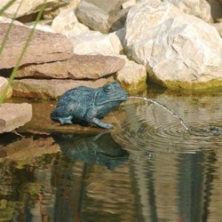 Gargouille grenouille jet d'eau UBBINK