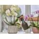 Vaporisateur à gâchette GARDENA 1L