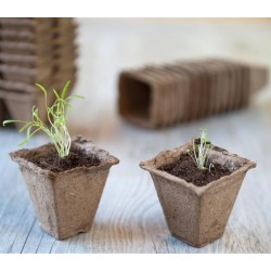 16 Pots en tourbe carrés 6x6cm