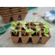 6 Plateaux de 12 pots en tourbe carrés 4x4cm