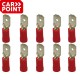 10 cosses rouges mâles Carpoint