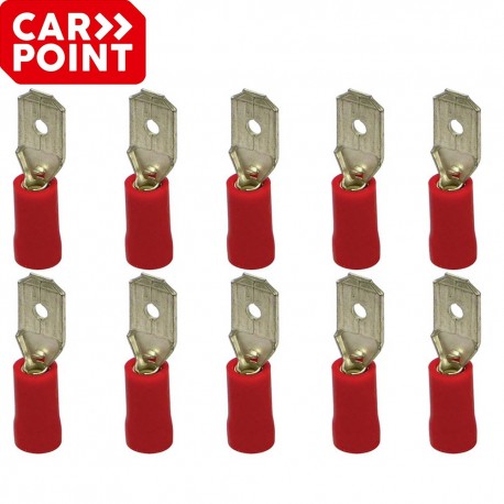 10 cosses rouges mâles Carpoint