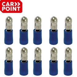 10 cosses bleues rondes males Carpoint
