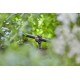 10 supports de tuyau goutte-à-goutte 13mm Gardena