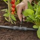 5 réducteurs pour goutte-à-goutte Gardena