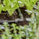 GARDENA 2 raccords coudés pour goutte-à-goutte 13mm