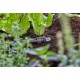 GARDENA 5 bouchons pour goutte-à-goutte 13mm