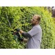 Taille-haie BOSCH Advanced Hedgecut 65