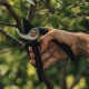 Sécateur bec perroquet FISKARS P321