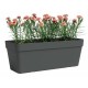 Jardinière avec réserve CAPRI 50 anthracite