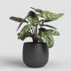 Cache-pot rond céramique HEMERA 25 anthracite