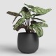 Cache-pot rond céramique HEMERA 33 anthracite