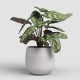 Cache-pot rond céramique HEMERA 33 crème
